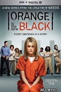 Orange Is the New Black Season 1 (2013) Hindi Dubbed Full Shows HDRip