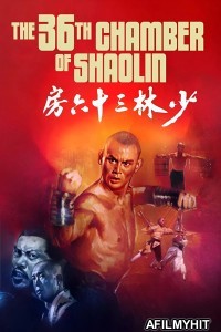 The 36Th Chamber Of Shaolin (1978) ORG Hindi Dubbed Movie BlueRay